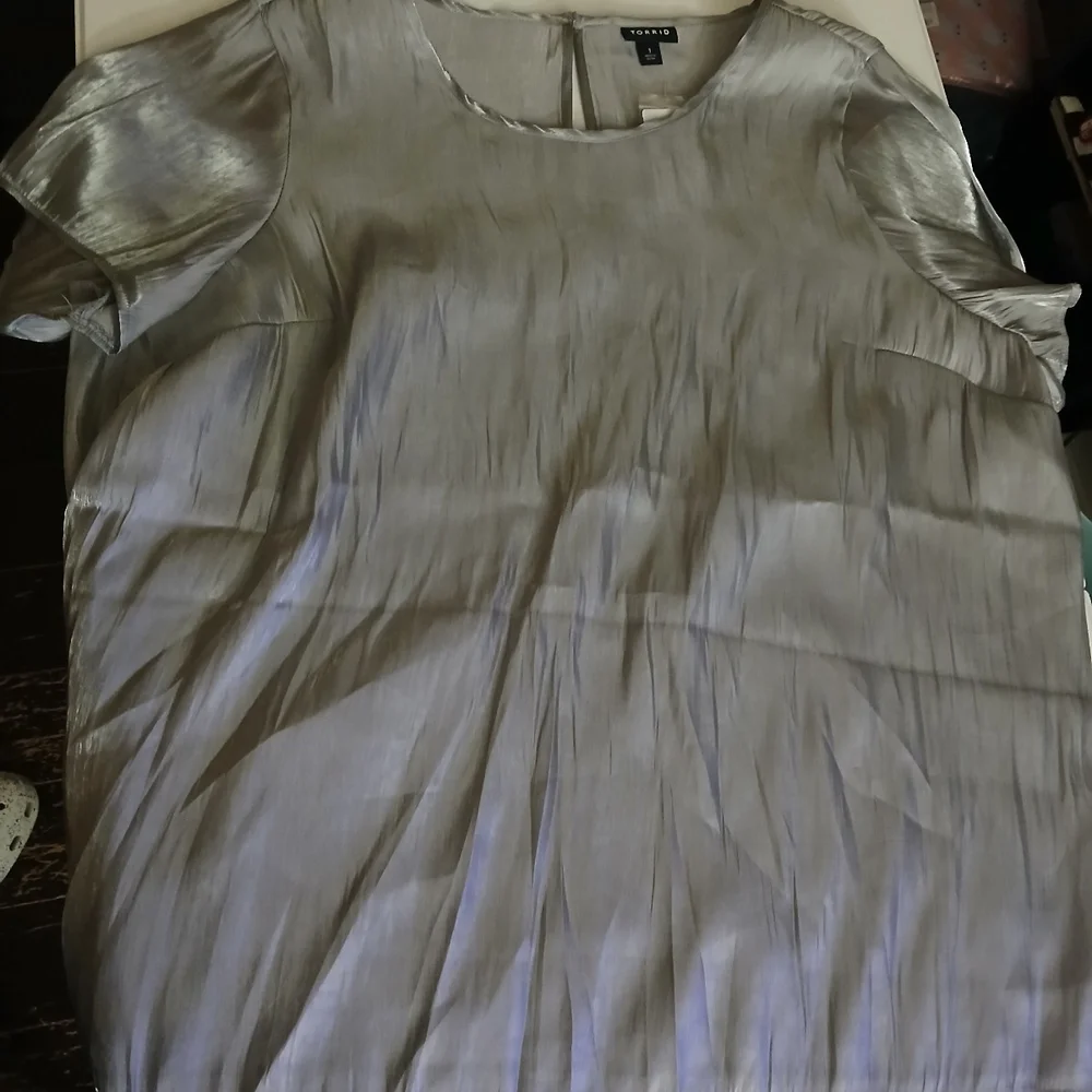 Torrid Shimmering Silver Top